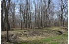 Property photo 113 - REAL ESTATE & PERSONAL PROPERTY AUCTION, 140 Acres offered in 8 Tracts or Combinations in Steuben County